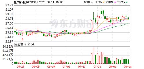 恒為科技布局新賽道，投資成立數字技術服務公司